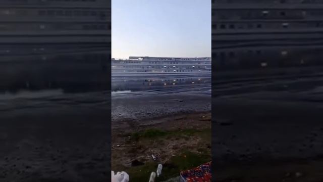 Трудолюбивые иностранные специалисты отдыхают на берегу реки))) смотреть онлайн