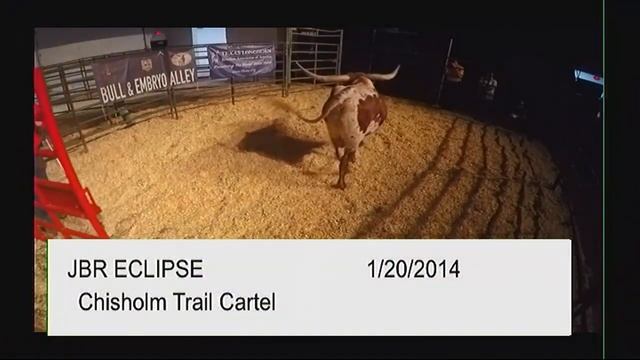 Bull & Embryo Alley смотреть онлайн