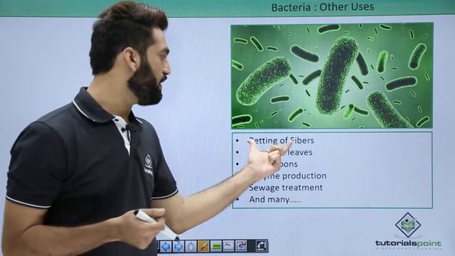 Class 11th – Bacteria Other Uses | Biological Classification | Tutorials Point смотреть онлайн