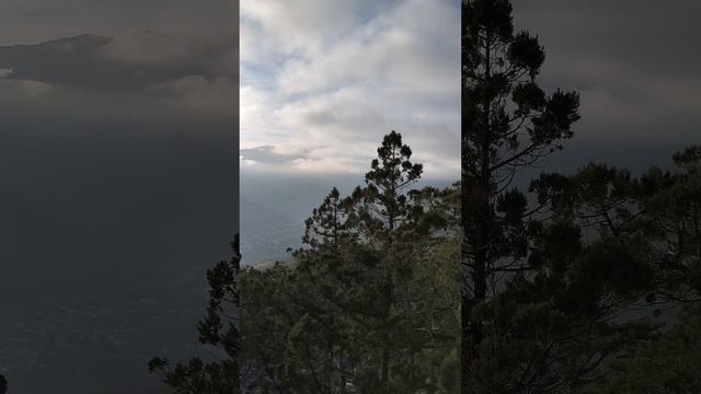 Ялта в окружении горного амфитеатра. Переехать жить в город счастья, что может быть лучше? Звоните) смотреть онлайн