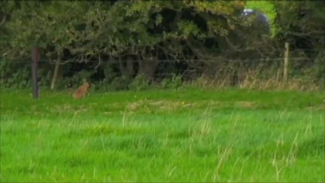 VISIONS OF THE HIGH MAN