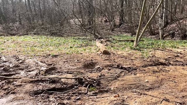 Traxxas Trx-4 Slow 😂🥹 Mo