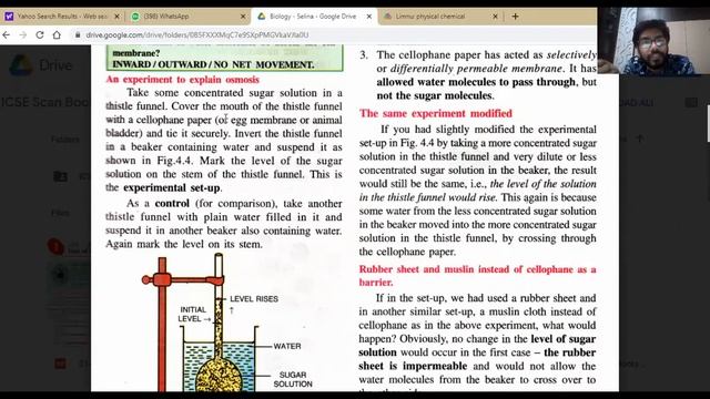 Absorption | Part 1 | CONCISE BIOLOGY | Class 10 | ICSE | pbclasses смотреть онлайн