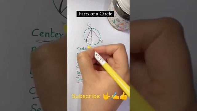 Parts Of A Circle #circle #circles #diameter #radius #circle #geomatry #mathswonderinseconds #maths смотреть онлайн
