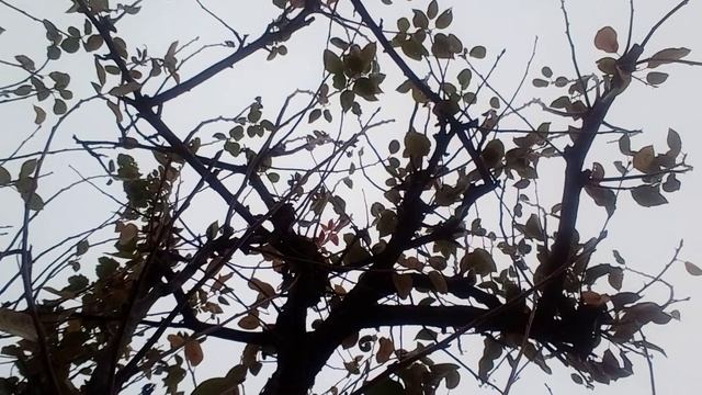 20241111_141305.mp4 смотреть онлайн