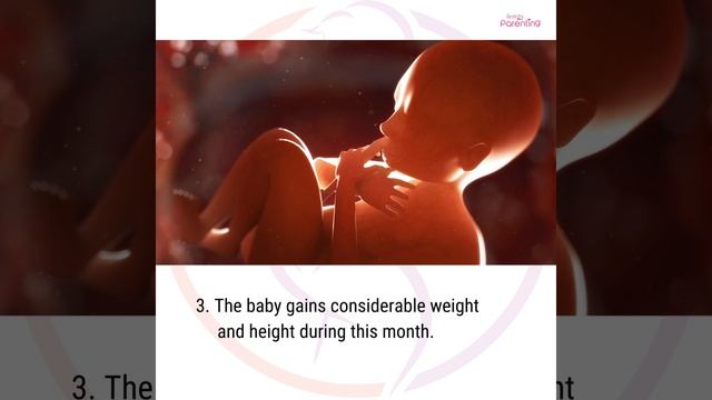 8 Months Pregnant Baby Movement & Development | 8 Month Pregnancy Baby Movement смотреть онлайн