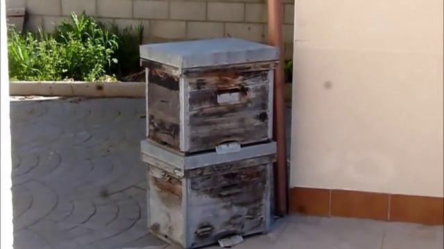 CRUCES TELÚRICOS EN CASA смотреть онлайн