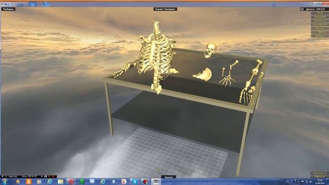 Анатомия сушеств Серия №1 смотреть онлайн