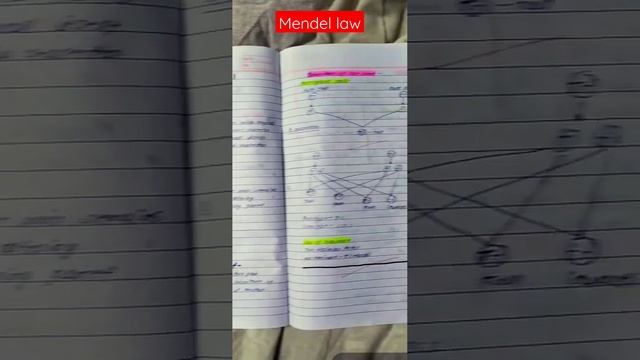 Mendel law ll # inheritance in one gene смотреть онлайн