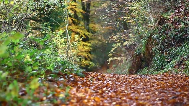 britain in a day thom hunt wild swimming prt 2 смотреть онлайн