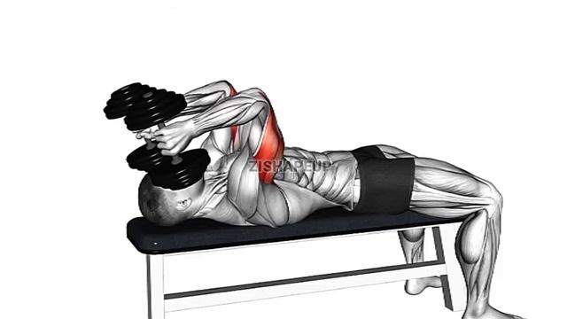 6 Best Triceps Workout At Gym | Tricep Exercises | Build Bigger Arms