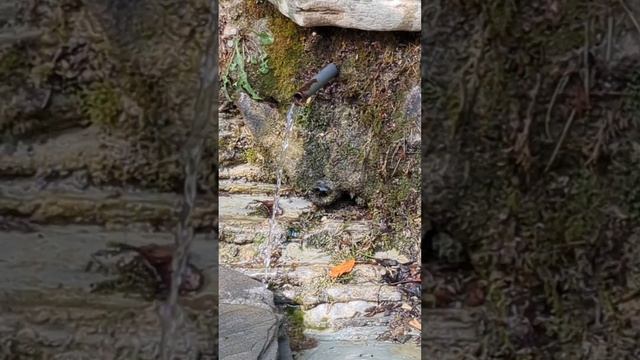 Водопады реки Жане смотреть онлайн