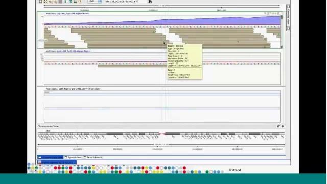 Avadis NGS Genome Browser Highlights смотреть онлайн