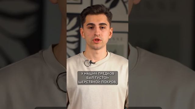 Почему на холоде мы начинаем дрожать и стучать зубами? смотреть онлайн