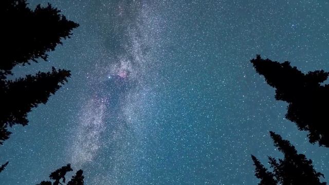 Семейные хроники: Как невестка нашла способ справиться с наставлениями свекрови смотреть онлайн
