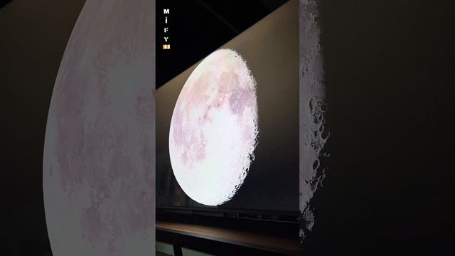 Шикарный смарт телевизор Toshiba 65 QLED (65C450KE) смотреть онлайн