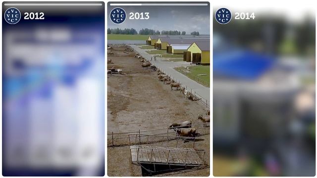 История ГК ВИК