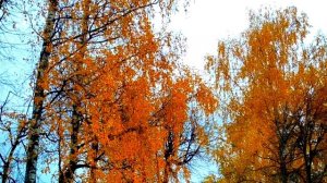 Пушкин А. С.  Ох  лето красное, любил бы я тебя! Унылая пора, очей очарованье! Pushkin A. S.