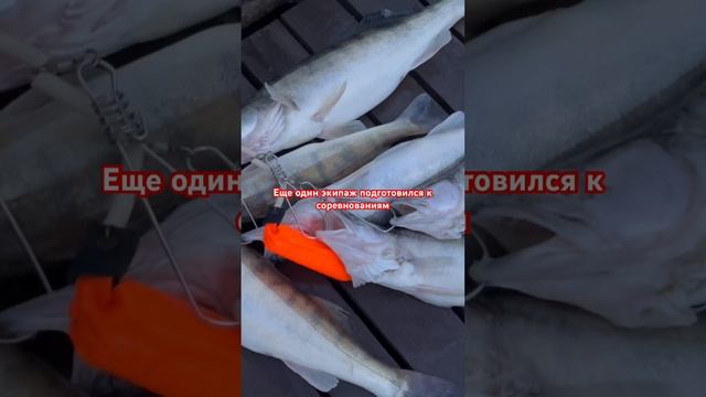 Еще один экипаж Ивана и Вадима. Тренировочный день на пять смотреть онлайн