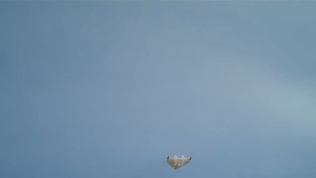 Twisted Hobbys Crack Wing смотреть онлайн