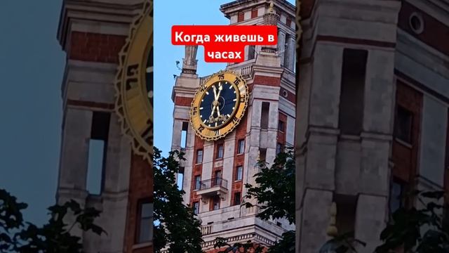 Honor magic 6 pro снимает 10х смотреть онлайн