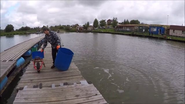 Запуск осетра в первый сектор!!!Клевое Место д.Савельево смотреть онлайн