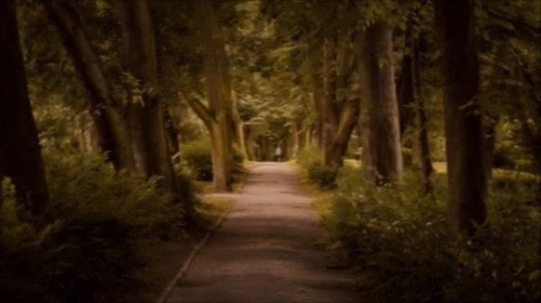 Темные Аллеи.Dark alleys.