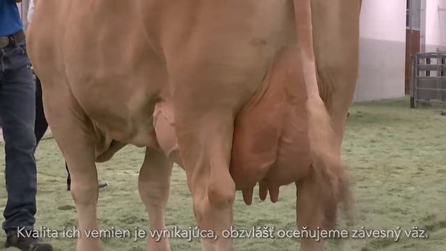 Rijeka - BAYERN- GENETIK - prezentacia dcer смотреть онлайн