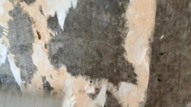 Простой и Легкий Способ Снять Старые Обои/Подготовка Стен к Отделке(Покраске, Шпаклевке)/Демонтаж смотреть онлайн