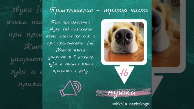 Ставим сербское произношение. Часть 3. Сербский для начинающих смотреть онлайн