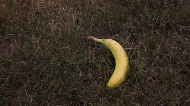 Даже один БАНАН вызывает НЕОБРАТИМЫЙ процесс в организме смотреть онлайн