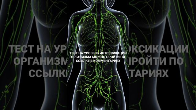 ТЕСТ НА УРОВЕНЬ ИНТОКСИКАЦИИ ОРГАНИЗМА МОЖНО ПРОЙТИ ПО ССЫЛКЕ В КОММЕНТАРИЯХ. Детокс #детокс смотреть онлайн