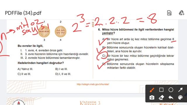 7.sınıf FEN - MİTOZ BÖLÜNME kazanım testi смотреть онлайн