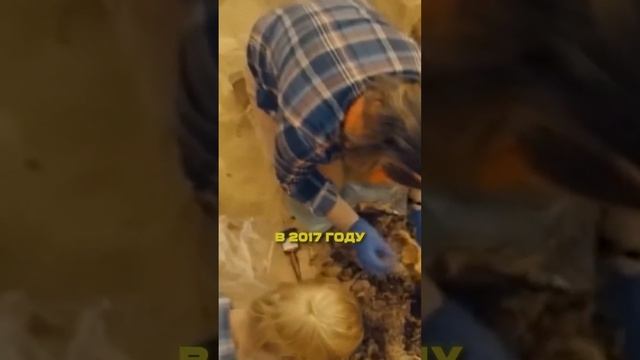 Обнаружили тайную комнату Фараона! 😨😰 #крипипаста #мистика смотреть онлайн