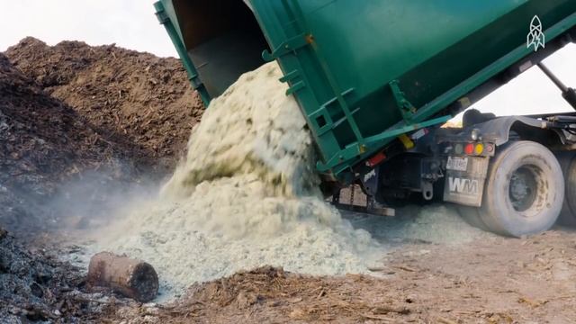 Where Dollars Are Reborn смотреть онлайн