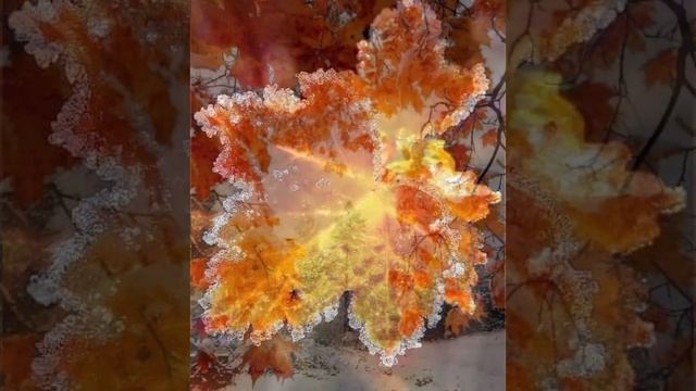 А осень нам дарит остатки тепла... смотреть онлайн