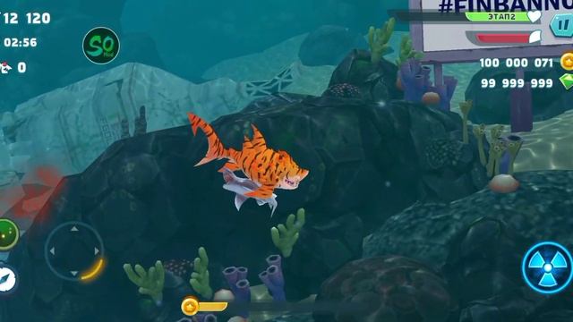 играем в hungry shark evolution смотреть онлайн