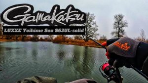 GAMAKATSU LUXXE YOIHIME SOU S63UL-SOLID | ПЕРВОЕ ЗНАКОМСТВО | С ЯПОНЦЕМ ЗА РУССКИМИ ОКУНЯМИ