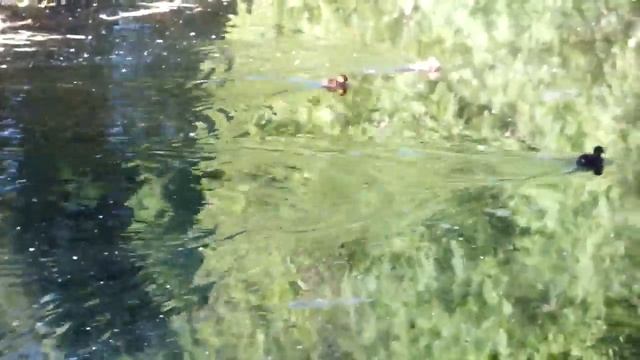 DSCF7721 смотреть онлайн