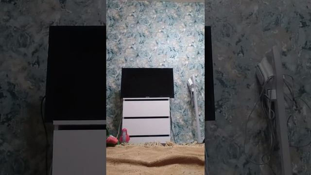 не включать телевизор а то током далбанёт смотреть онлайн
