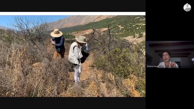 Academia del Paisaje · Presentación de la Paisajista Chilena, Ximena Nazal смотреть онлайн
