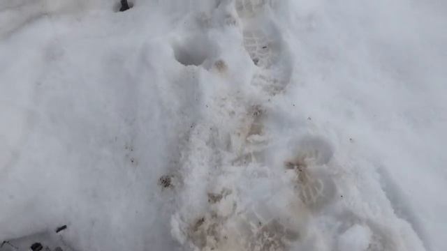 Прогулка на дачу ,2 часть . смотреть онлайн