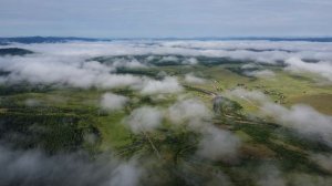 Природа Забайкалья лето 2024г #shorts #drone