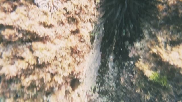 подводный мир