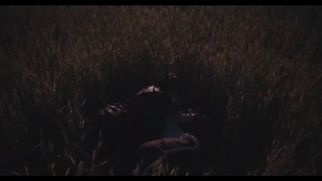 Вандер Фил Ты Венера, я Земля премьера клипа, 2017 смотреть онлайн