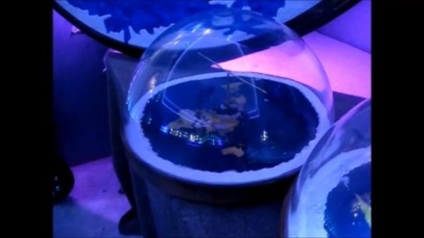 Flat Earth 3D model showroom by Chris Pontius - FlatEarthModels dot com ✅