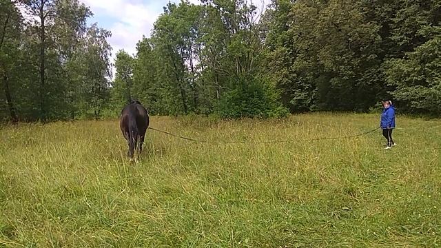 VID_20190720_132119 смотреть онлайн