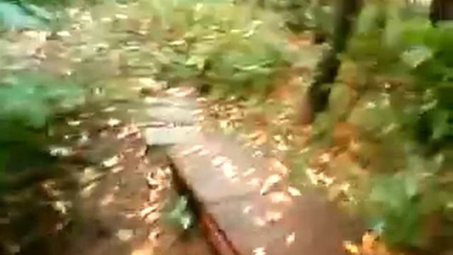 Детская площадка ЦЛП смотреть онлайн