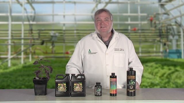 Plant Propagation Basics смотреть онлайн