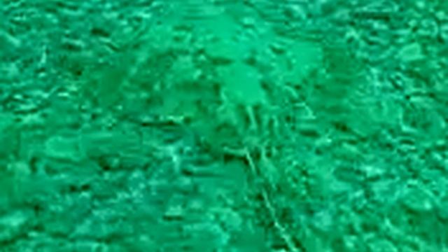 Skate in Bauline смотреть онлайн